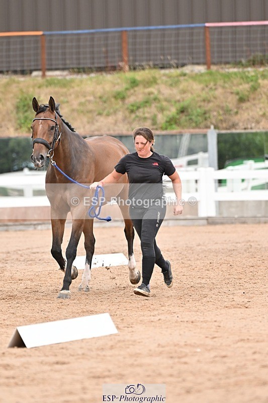 250716-161541-02528 - Trot Up 3.30 to 4.30