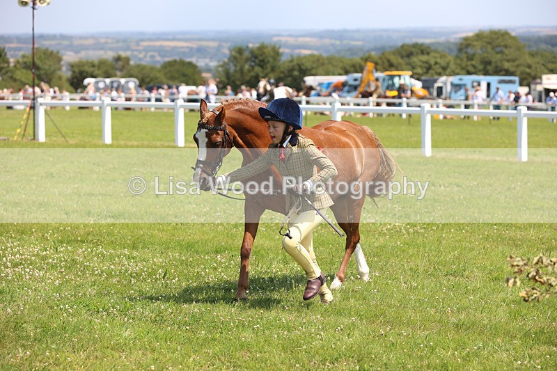 JPP_2847 - Class 21: Working Hunter 60cm