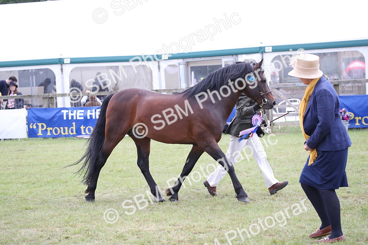 SBM_09832 - Ch 50 - Price Family Supreme In Hand