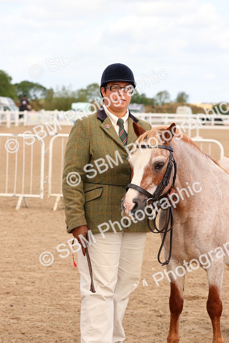 SBM_11969 - Class 209 - IH Veteran Pony