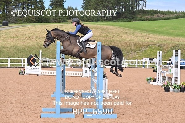 BPP_6590 - SUN CLASS 52 HOYS Pony Foxhunter Second Round