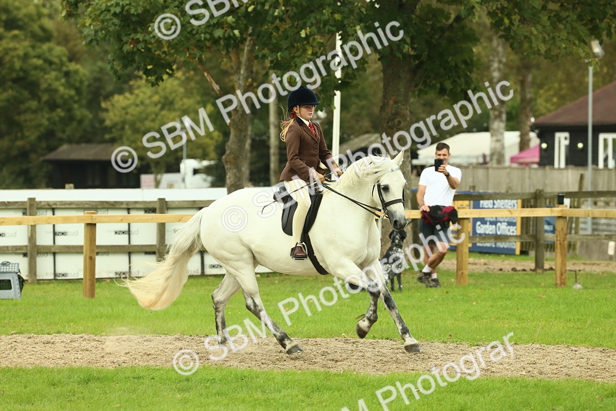 SBM_72021 - S60 - Mountain & Moorland Ridden Large Breeds