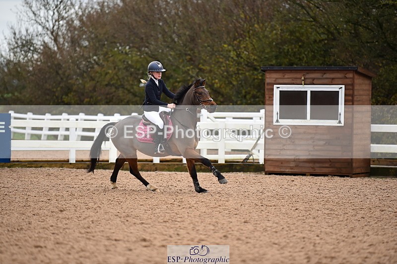 231203A-100520-00282 - Cls 2 British Novice & 80cm Open