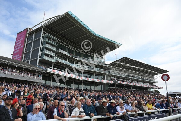 yr18082021r1-51 - Race 1 1.50pm Sky Bet & Symphony Group Stakes