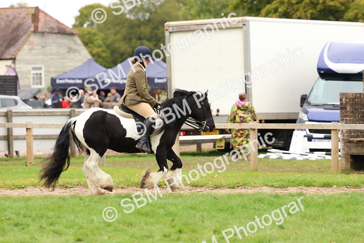 SBM_64617 - S58 - Coloured Pony Ridden