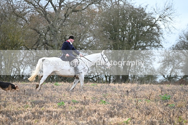 WJ6_9476 - Line Four