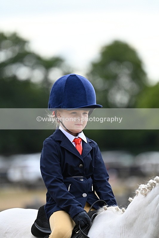WJ7_9495 - Class 1 Lead Rein Pony