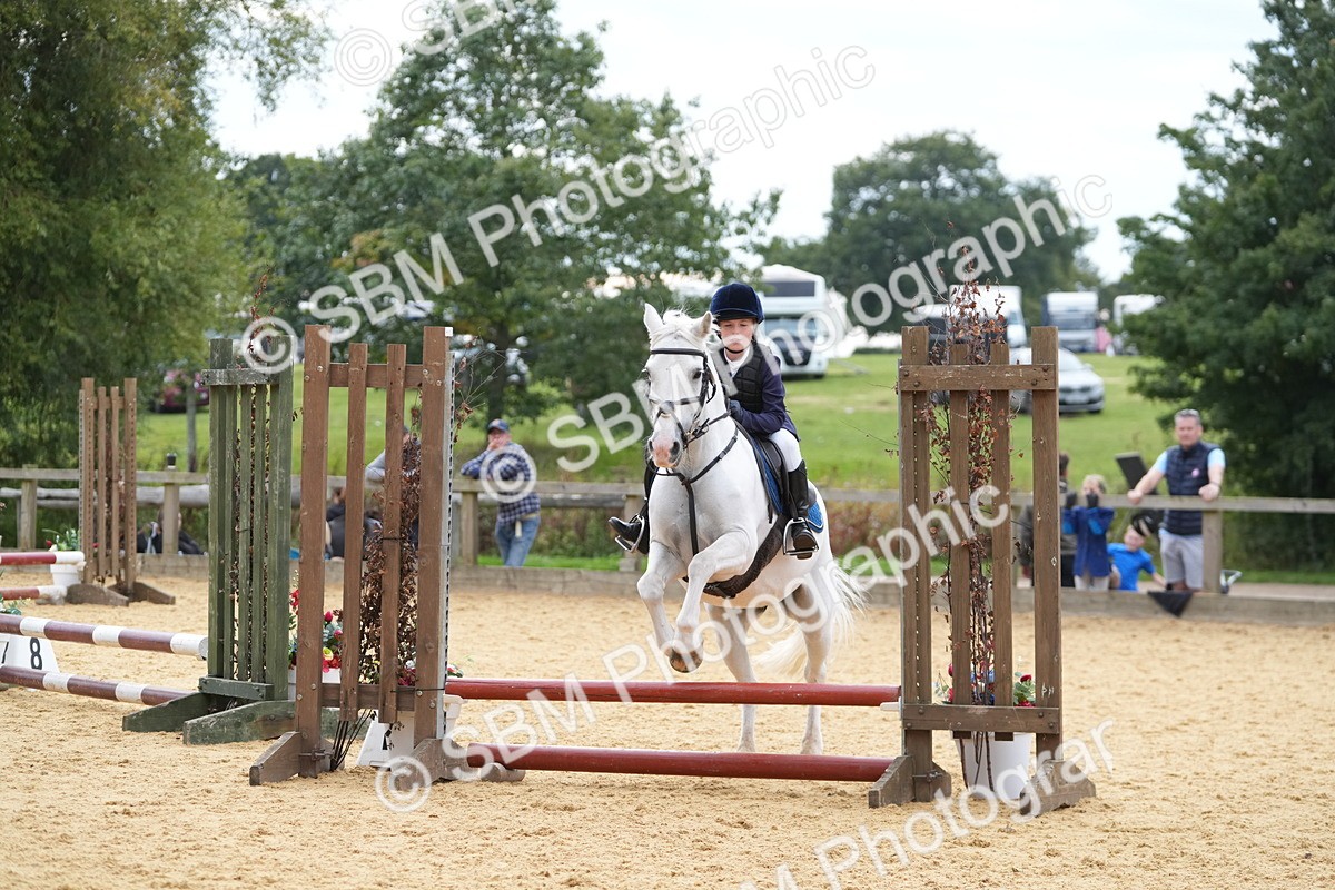 SBM_74765 - J4 - Mini Tour Junior Pony 45cm Championship