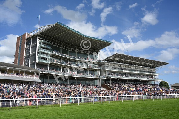 yr21052022r7-15 - Race 7: 5:15pm Reg Bond Always and Forever Stakes
