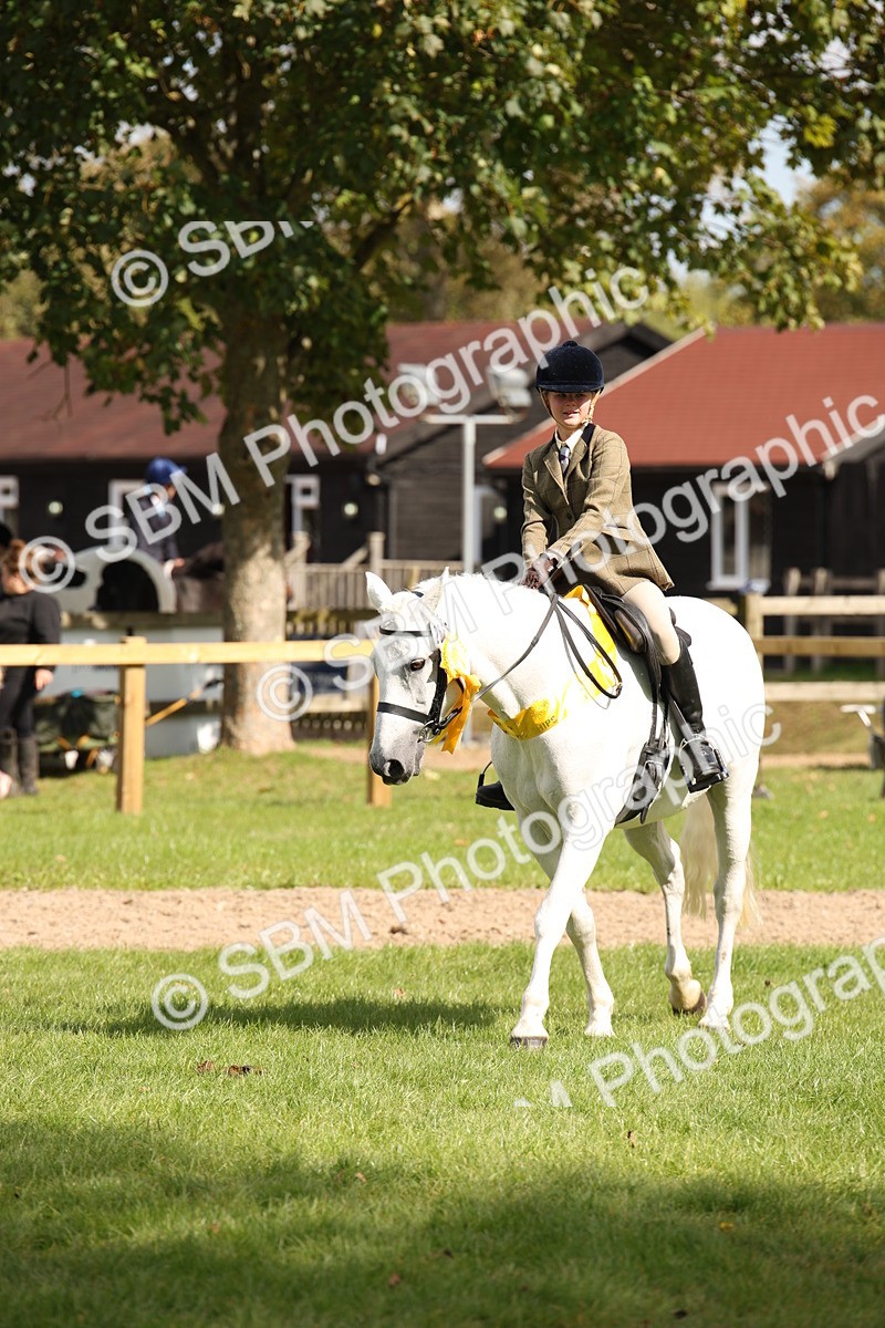 SBM_42399 - S13 - Pony Club Pony