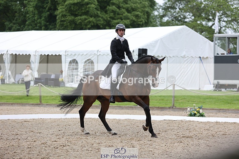 240523-165206-06079 - 235-GREENHALL_JAY-Henry_Hobby