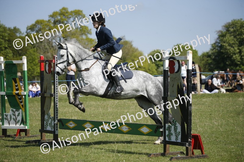 20250427-2172 - Class 13 - Novice Jumping 60cm