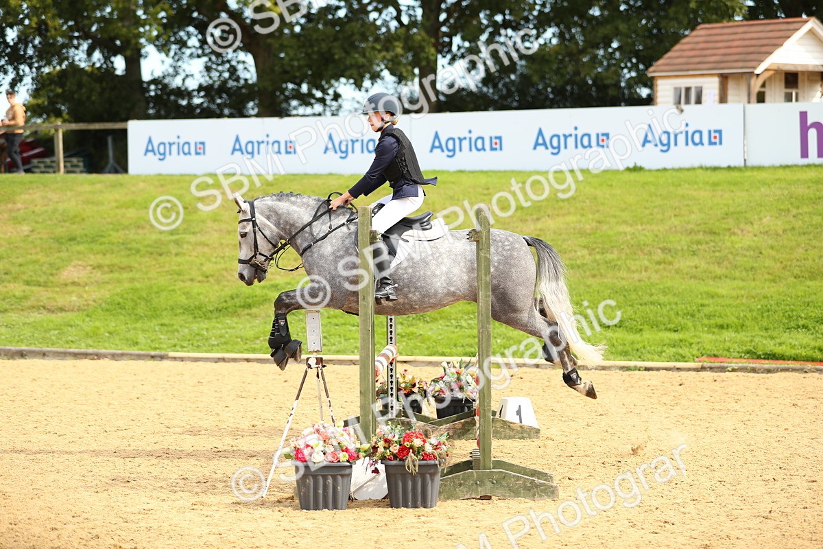 SBM_67206 - J17 - Junior Pony 80cm Championship