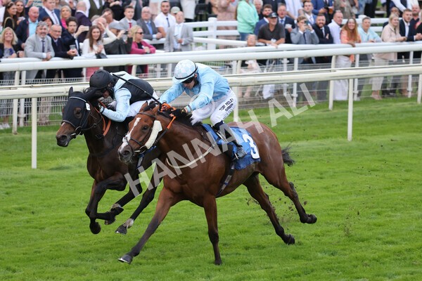 yr24092021r8-13 - Race 8 5.25pm William Hill Build Your Own Odds Apprentice Stakes