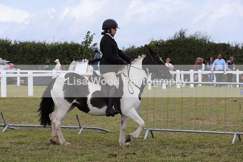 1X9A4666 - Class 34: Veteran Ridden