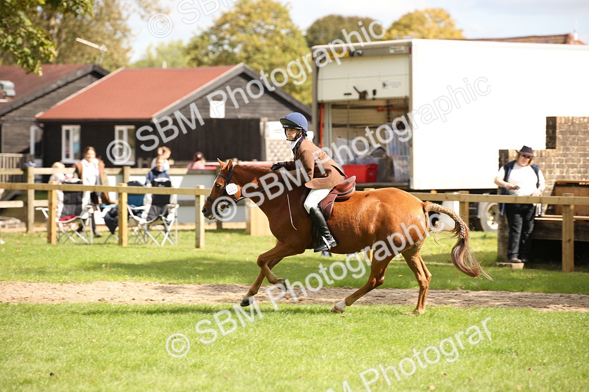 SBM_42273 - S13 - Pony Club Pony