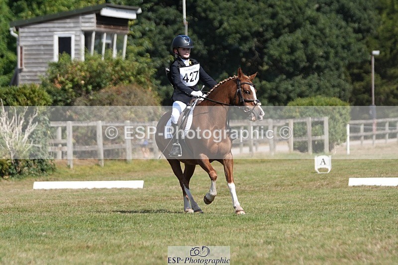 250823A-111739-28212 - Arena A