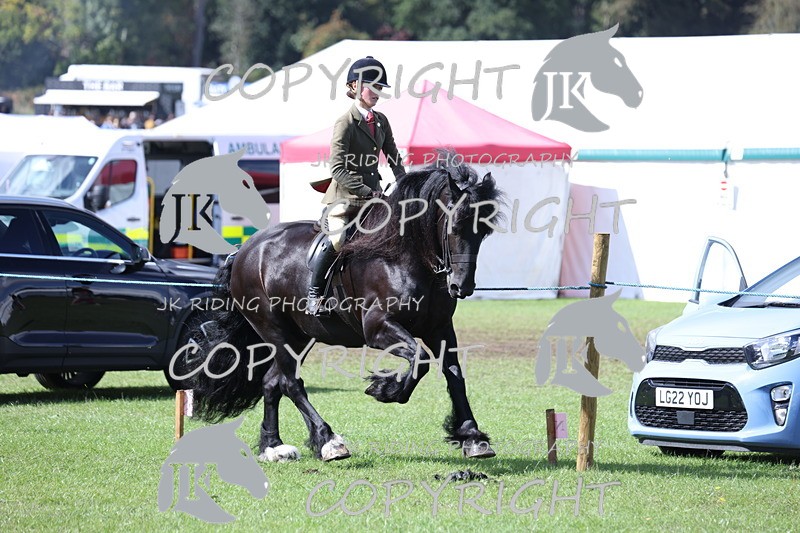 APP_3537 - Class 12 M&M ridden