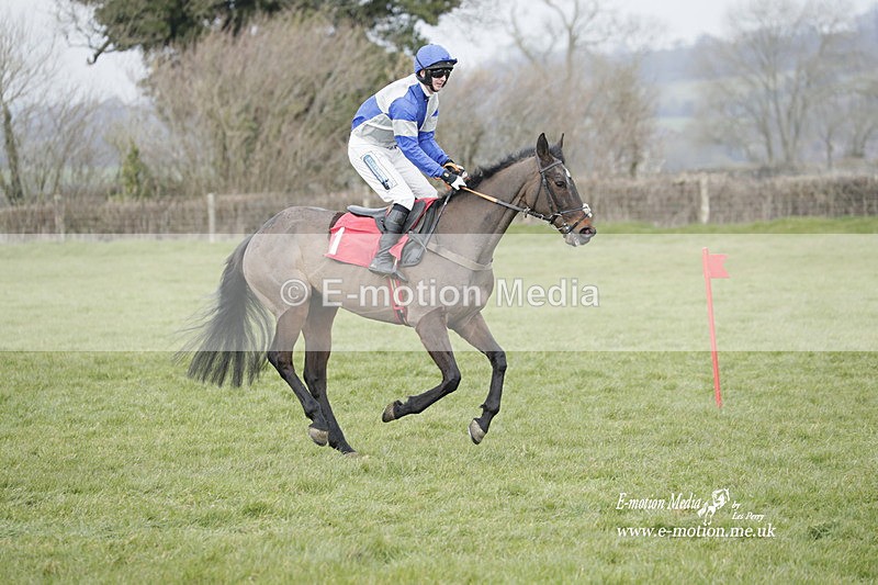 PtP 050323 945 - Blackmore & Sparkford Vale Hunt PtP - Somerset 05/03/23