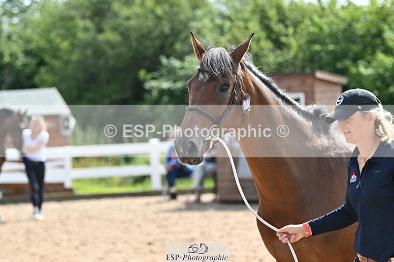 240717A-154531-03045 - Trot Up 3pm to 4pm