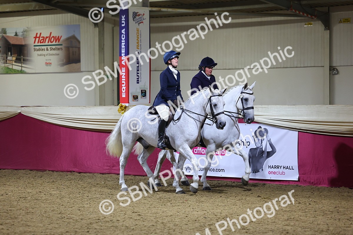 0B8A4303 - Class M Ridden Pairs Champ