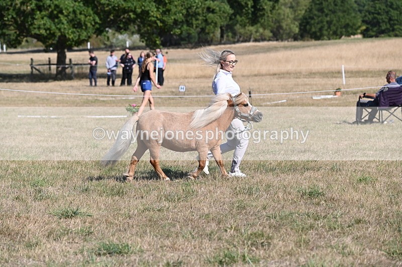 WJ6_7264 - Class 33 Rescue Pony