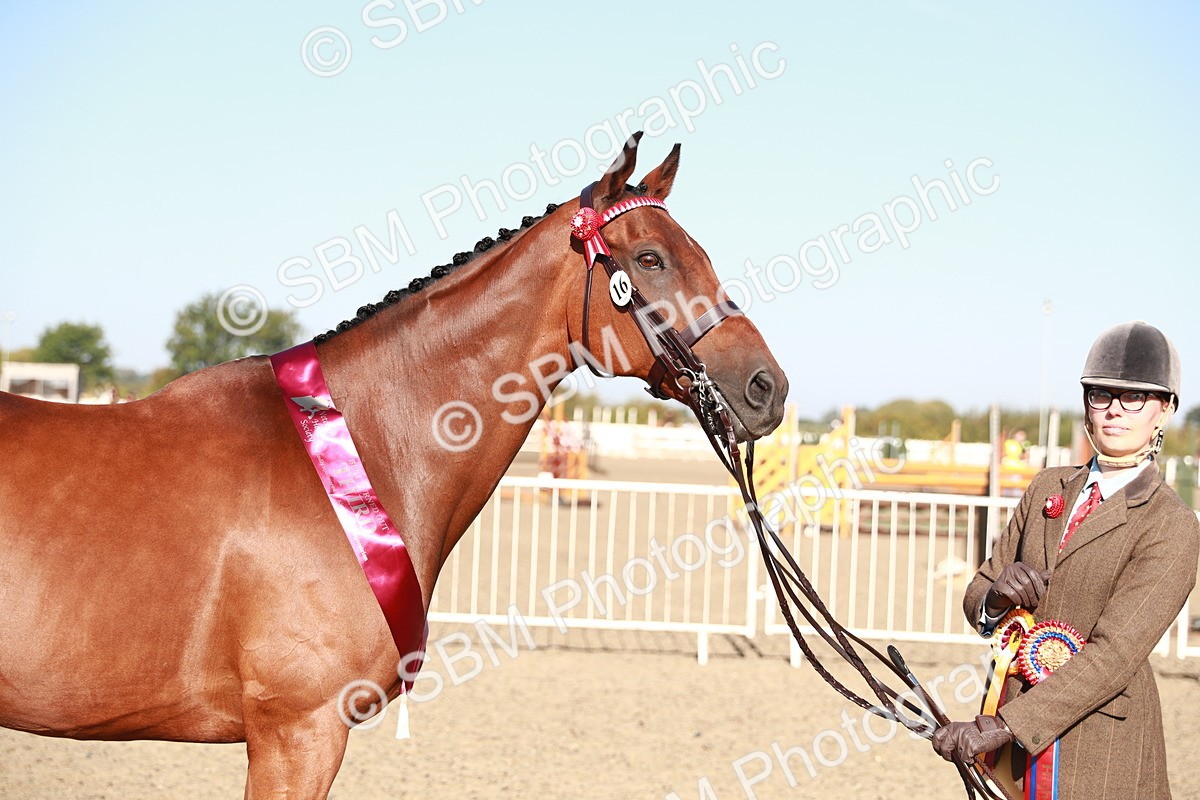 SBM_00112 - Class 40 Best Turned Out IH