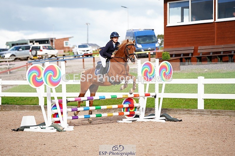 250921-155816-04187 - Cls 31 Stepping Stones