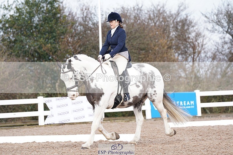 250322-093342-00061 - DR Prelim 2 Test