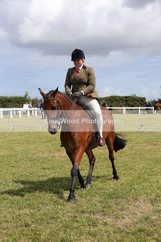1X9A4103 - Class 32: Show Hunter Pony 153cm and under