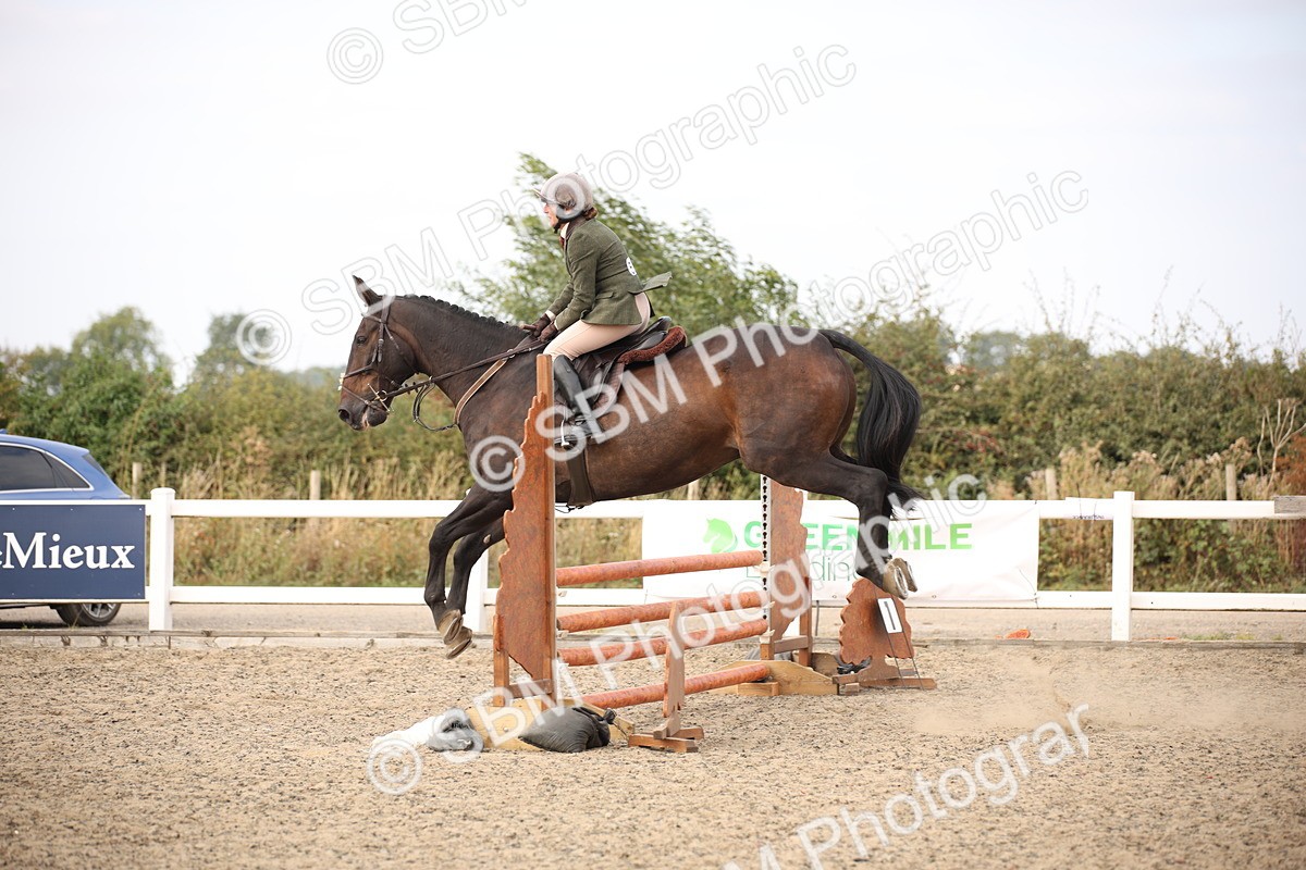 SBM_17338 - Class 410b - Working Veteran 90cm (20+)