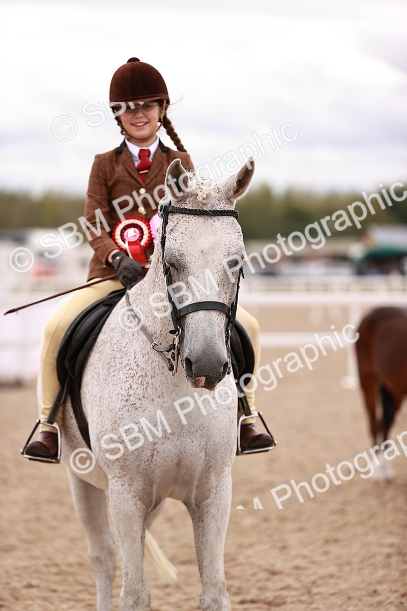 SBM_18600 - Class 421 - Childs Best Friend - Jnr