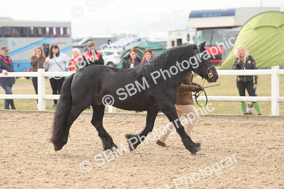 SBM_03157 - Class 16 - IH M&M Wildcard