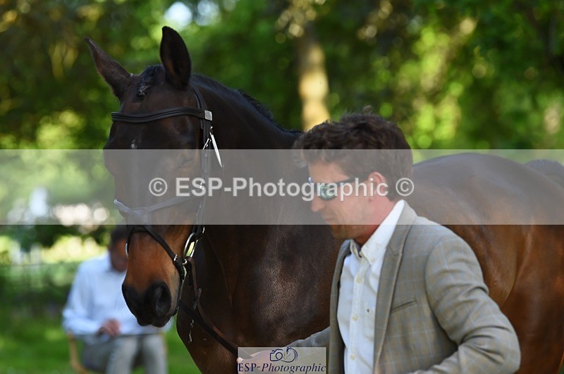 230524-165100-01131 - 119-AUTOGRAF-Simon_Grieve-WEDTrotUp+DR