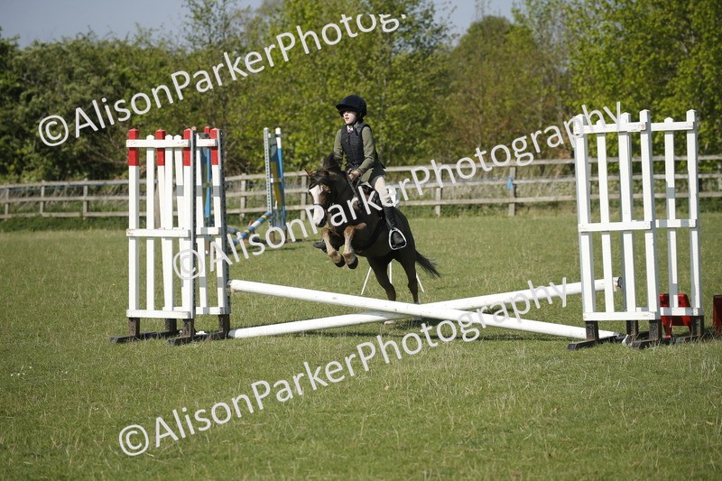 20250427-0411 - Class 12 - Rookie Jumping 40cm