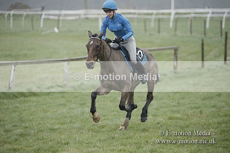 PtP 150320 0109 - New Forest Point-to-Point Larkhill 15/03/20