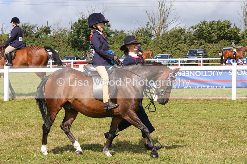 1X9A3713 - Class 29: Lead Rein SP/SHP