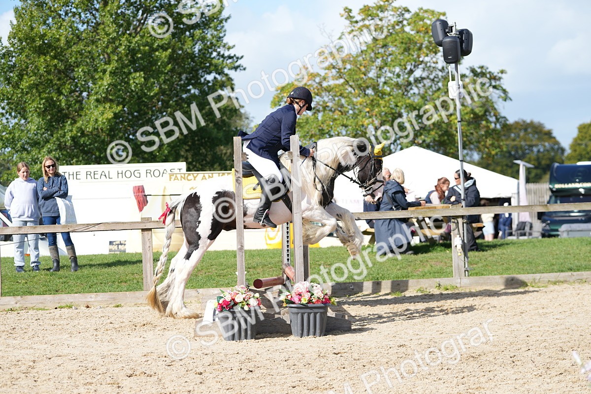 SBM_16905 - J58 - Clear Round 50cm