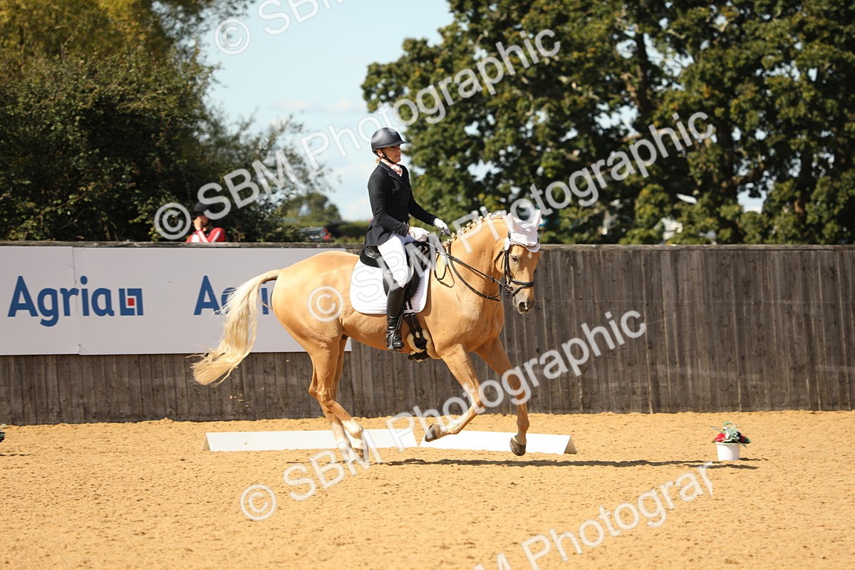 SBM_22311 - D17 - Grand Tour Championship - Novice 27
