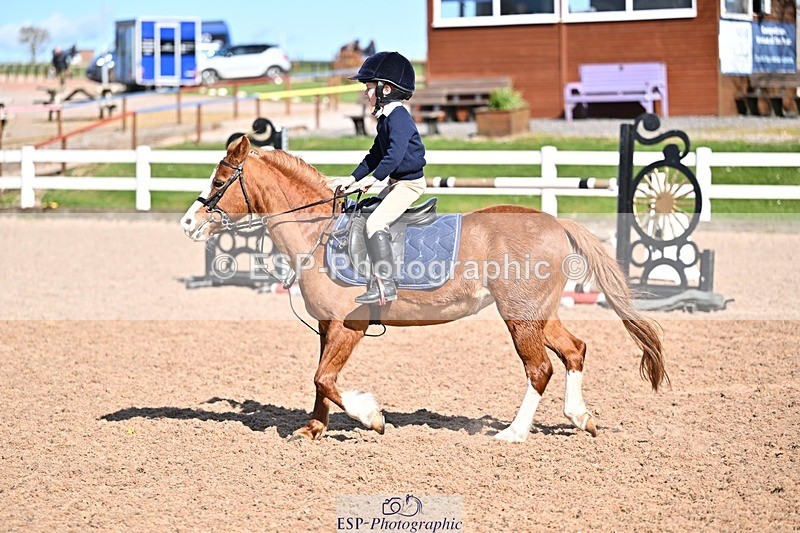 260331-151842-00024 - Clear Round