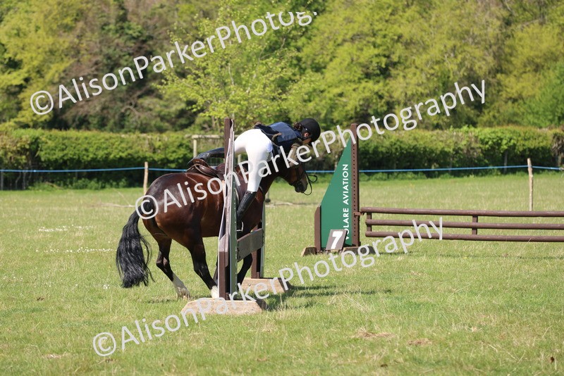 20250427-2564 - Class 20 - Working Hunter Ponies