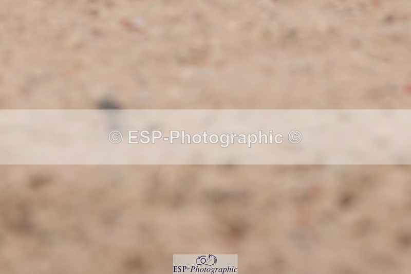 240706A-122525-01684 - Cls 2D Snr Prelim 18 12.14 to End