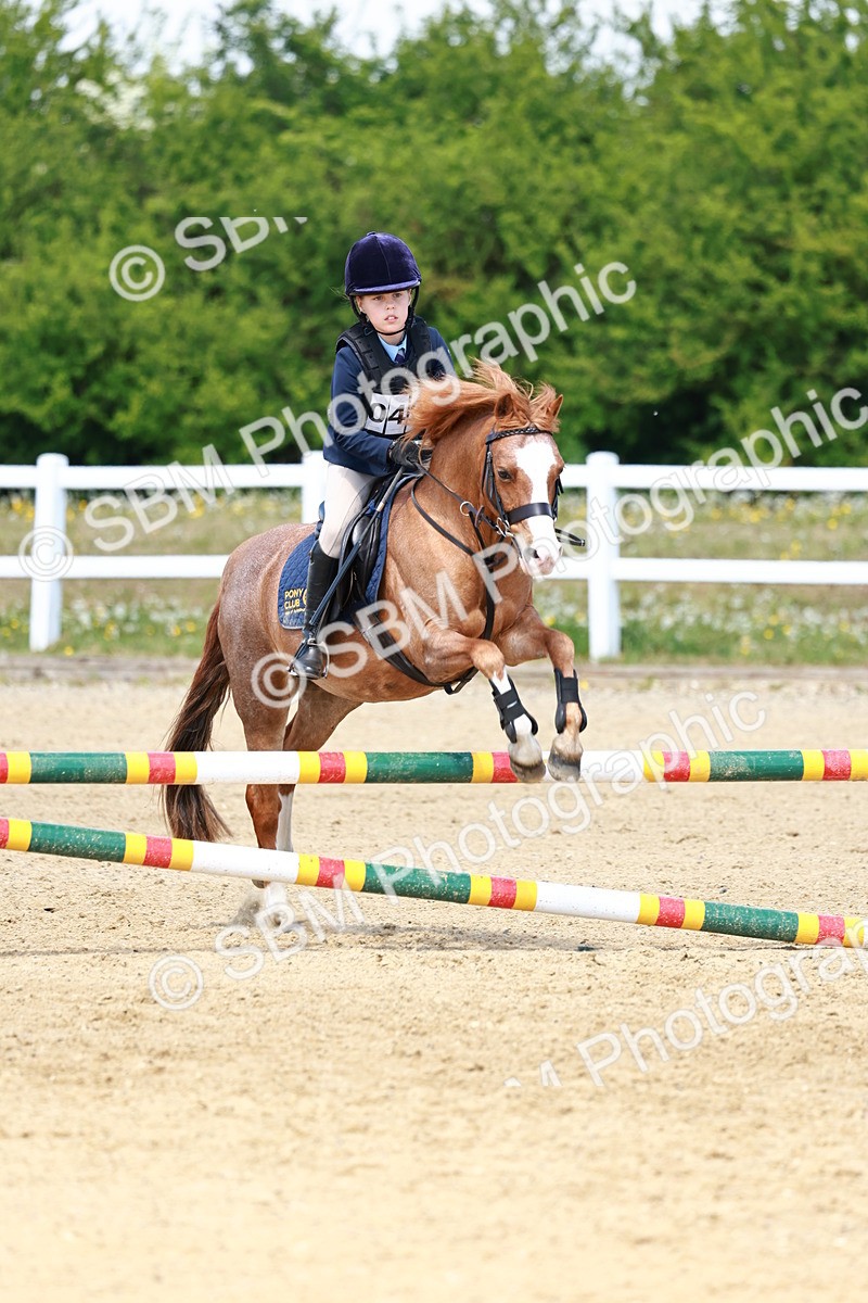 SBM_007728 - Class 3 - 60cm