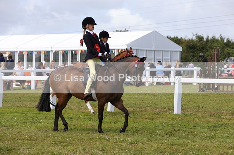 1X9A3935 - Class 31: Show Pony 148cm and under