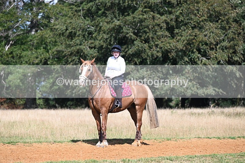 DSC_0206 - Time at Statue 15:58 to 16:05