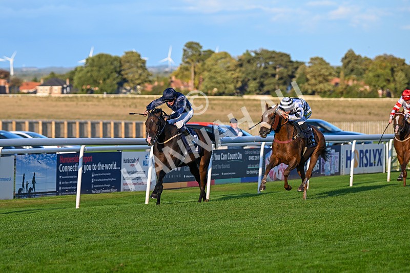 240924-Race 8-Claxton Bay-7141 - Race 8