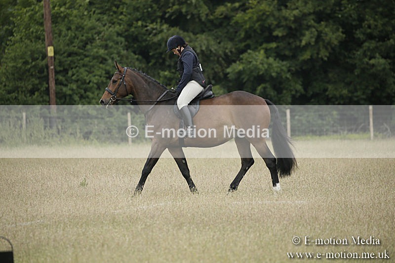 B230619-0009 - Bourne Valley Riding Club Summer Show 23/06/19