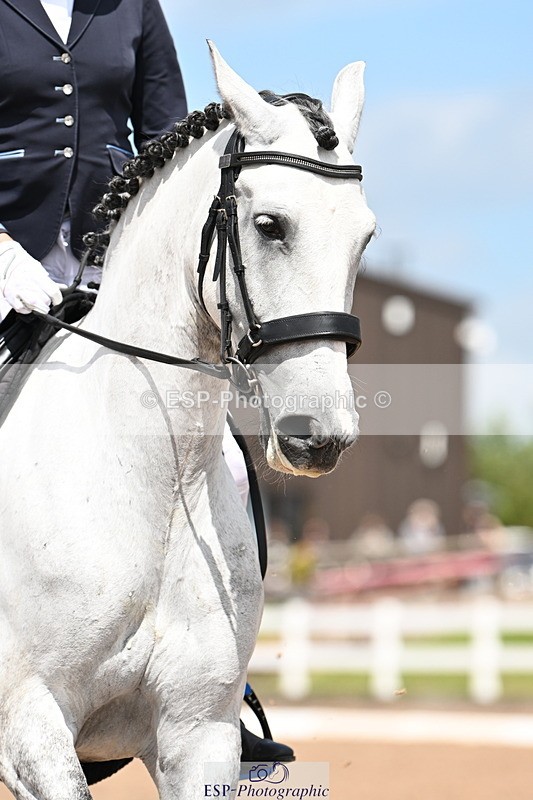 240621A-143341-04302 - Cls 8 BD Elementary 53