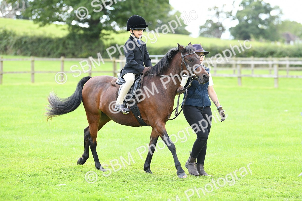 SBM_42404 - S20 - Lead Rein Mountain & Moorland Pony