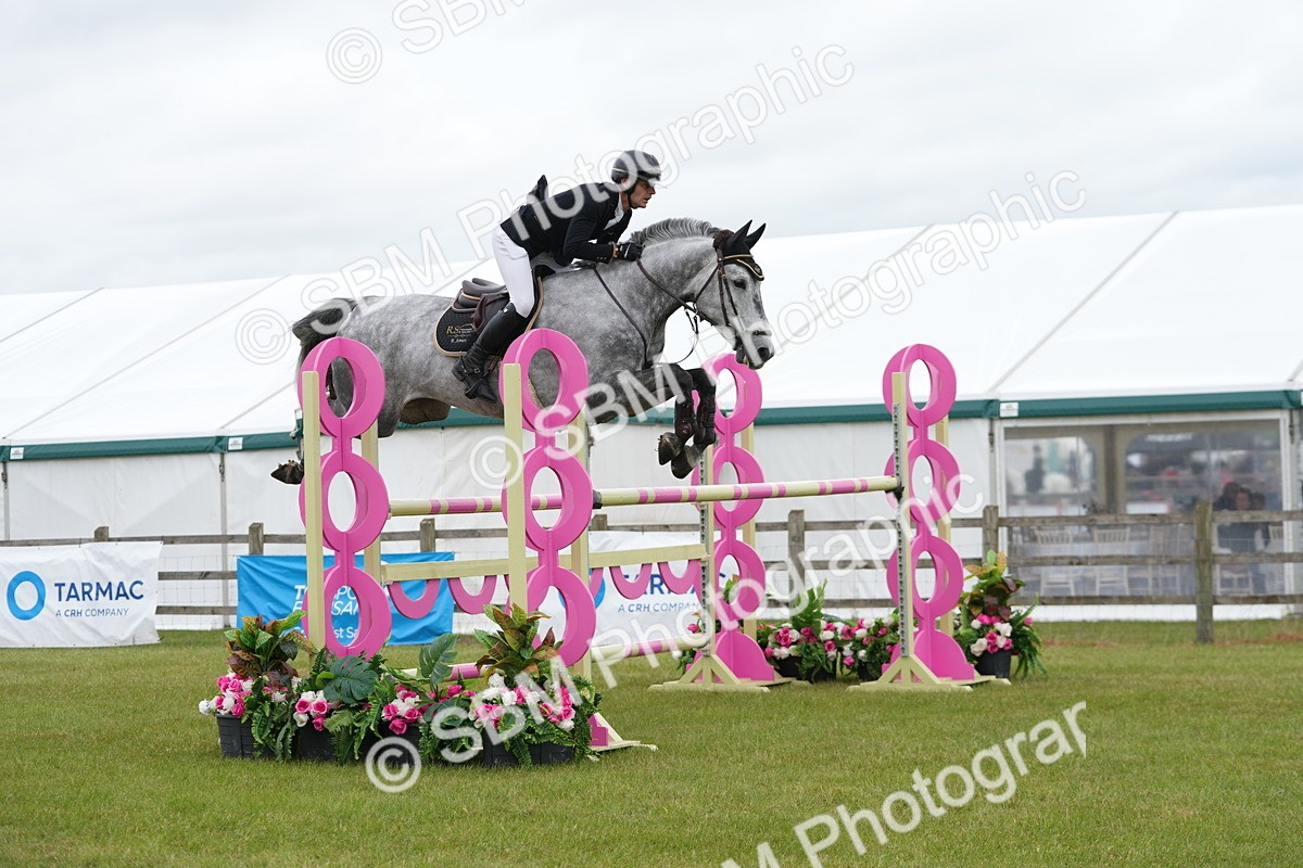 SBM_03133 - Class 201 - British Horse Feeds Speedi Beet Horse of the Year Show Grade  C